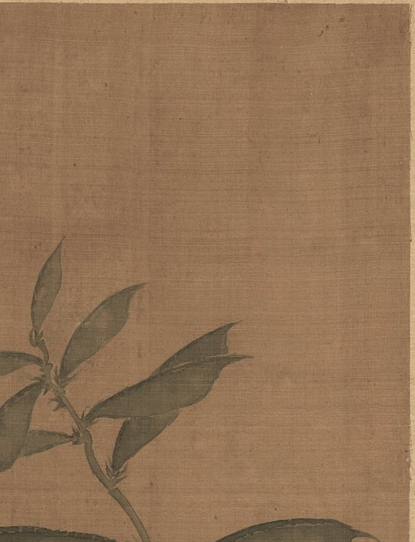 清代画.恽寿平_花果蔬菜_绢本_11_2357.3078 清代画.恽寿平_花果蔬菜_绢本_11_2357.3078