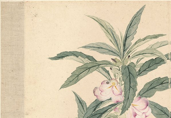 清代画.恽寿平_花卉十开_纸本_2_3898.2693 清代画.恽寿平_花卉十开_纸本_2_3898.2693
