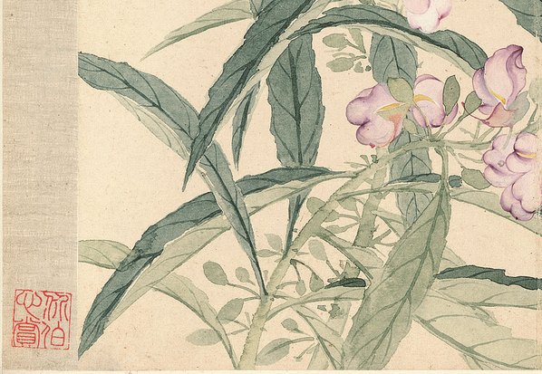 清代画.恽寿平_花卉十开_纸本_2_3898.2693 清代画.恽寿平_花卉十开_纸本_2_3898.2693