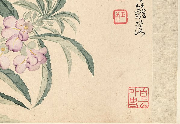 清代画.恽寿平_花卉十开_纸本_2_3898.2693 清代画.恽寿平_花卉十开_纸本_2_3898.2693