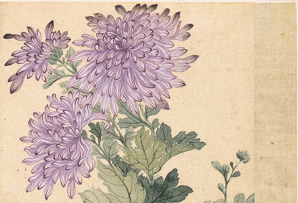清代画.恽寿平_花卉十开_纸本_1_3898.2670 清代画.恽寿平_花卉十开_纸本_1_3898.2670
