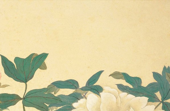 清代画.恽寿平_牡丹_绢_2671.1738_135dpi 清代画.恽寿平_牡丹_绢_2671.1738_135dpi