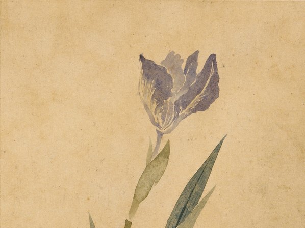 清代画.华嵒_花鸟草虫八开_华嵒花鸟草_5_4309.3228 清代画.华嵒_花鸟草虫八开_华嵒花鸟草_5_4309.3228