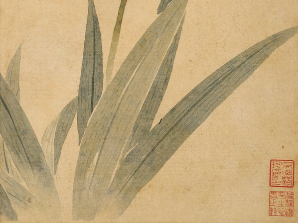 清代画.华嵒_花鸟草虫八开_华嵒花鸟草_5_4309.3228 清代画.华嵒_花鸟草虫八开_华嵒花鸟草_5_4309.3228