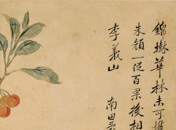 清代画.华嵒_花鸟草虫八开_华嵒花鸟草_4_4309.3202