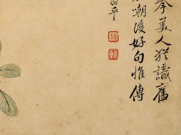 清代画.华嵒_花鸟草虫八开_华嵒花鸟草_4_4309.3202