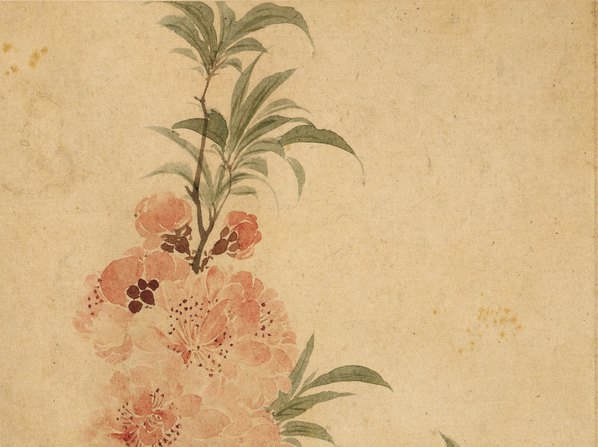 清代画.华嵒_花鸟草虫八开_华嵒花鸟草_3_4309.3219 清代画.华嵒_花鸟草虫八开_华嵒花鸟草_3_4309.3219