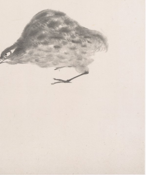 清代画.八大_花鸟山水册_2_4203.5030