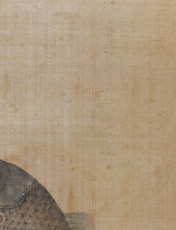 清代画.佚名_鲤图页哈佛大学福格美术_3600.4712_450dpi 清代画.佚名_鲤图页哈佛大学福格美术_3600.4712_450dpi