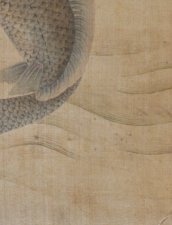 清代画.佚名_鲤图页哈佛大学福格美术_3600.4712_450dpi 清代画.佚名_鲤图页哈佛大学福格美术_3600.4712_450dpi