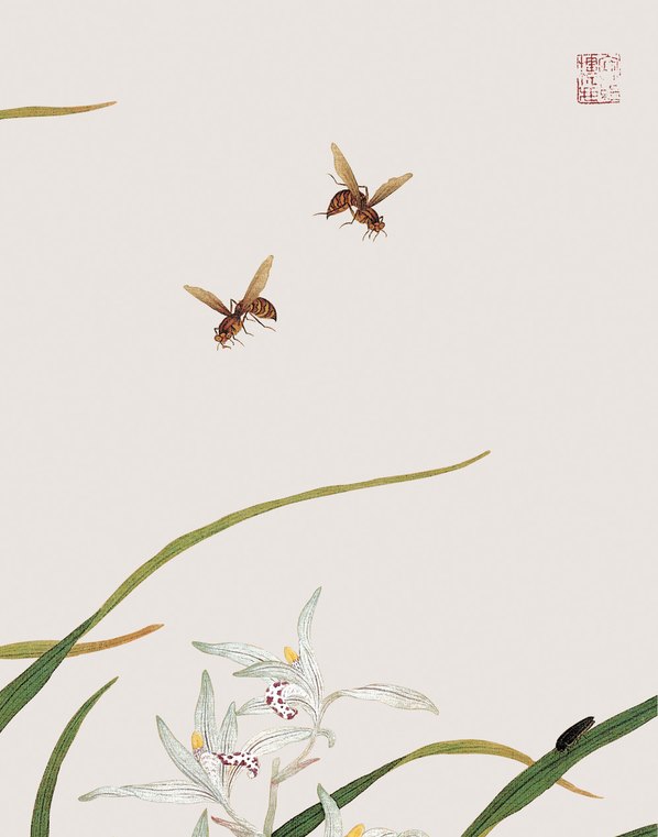 清代画.余挚_花鸟画_7_3248.4134
