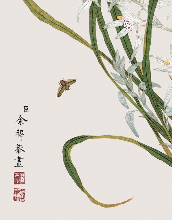 清代画.余挚_花鸟画_7_3248.4134