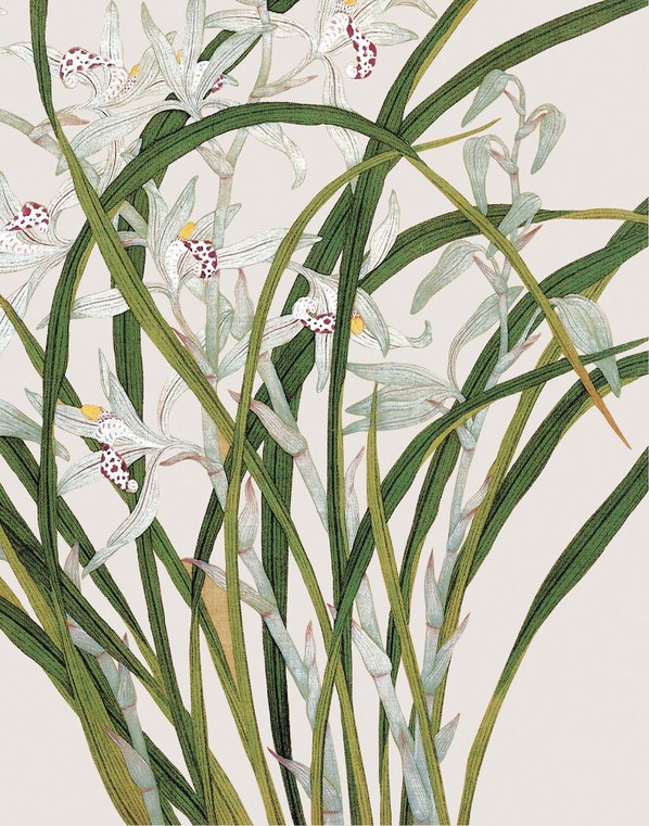 清代画.余挚_花鸟画_7_3248.4134