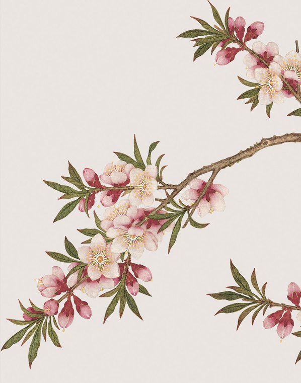 清代画.余挚_花鸟画_11_3248.4134