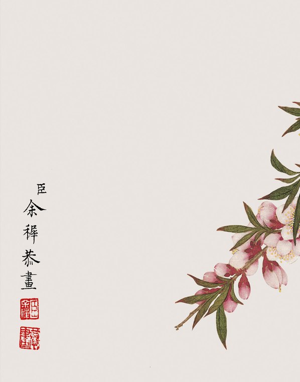 清代画.余挚_花鸟画_11_3248.4134