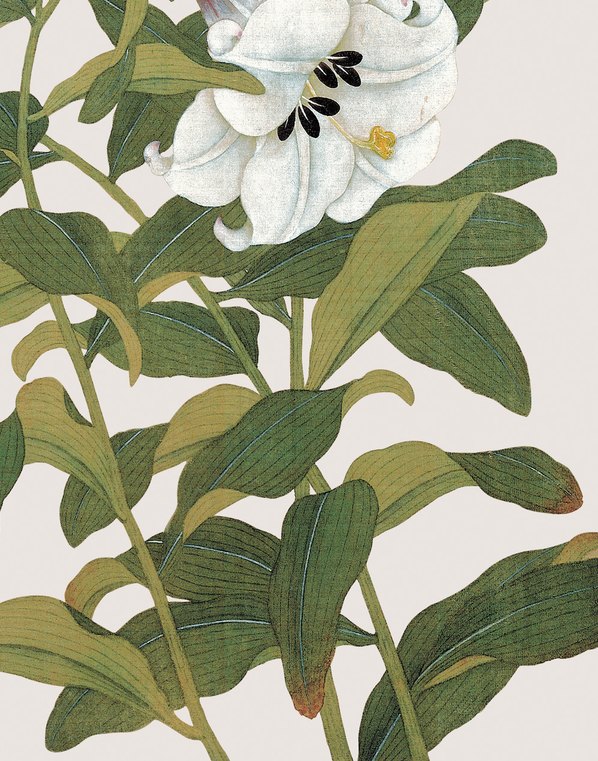 清代画.余挚_花鸟画_10_3248.4134 清代画.余挚_花鸟画_10_3248.4134