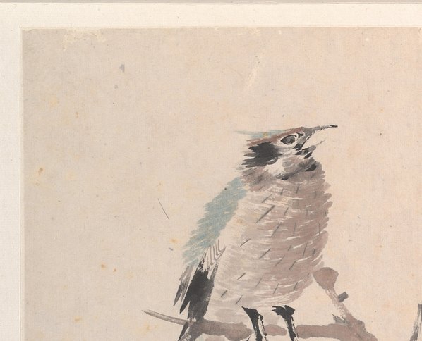 清代画.任颐_花鸟蔬果册页_八开_5_4500.3642 清代画.任颐_花鸟蔬果册页_八开_5_4500.3642