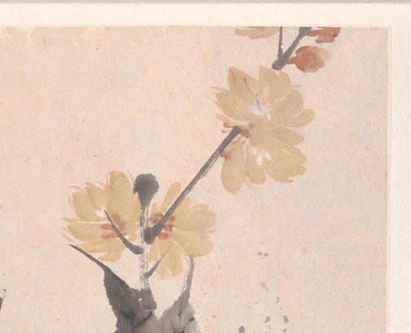 清代画.任颐_花鸟蔬果册页_八开_5_4500.3642 清代画.任颐_花鸟蔬果册页_八开_5_4500.3642