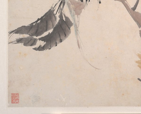 清代画.任颐_花鸟蔬果册页_八开_5_4500.3642 清代画.任颐_花鸟蔬果册页_八开_5_4500.3642