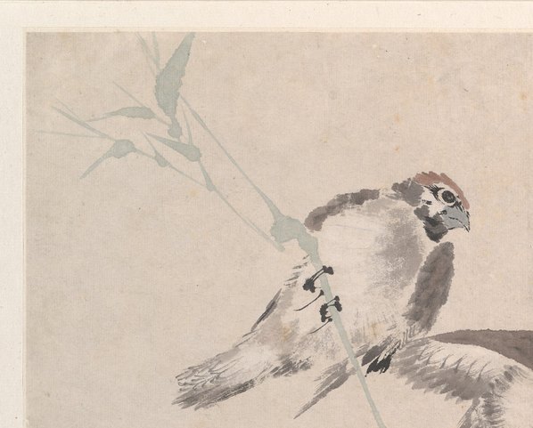 清代画.任颐_花鸟蔬果册页_八开_3_4500.3623