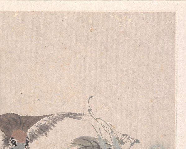 清代画.任颐_花鸟蔬果册页_八开_3_4500.3623