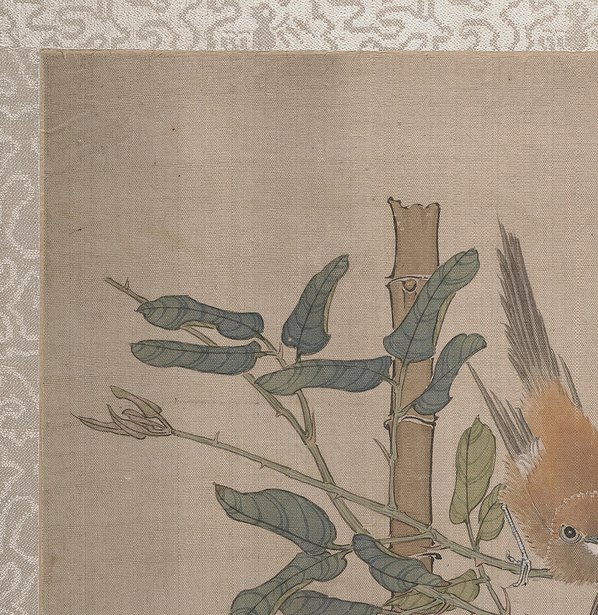 清代画.任颐_花鸟册页大都_4841.4981 清代画.任颐_花鸟册页大都_4841.4981