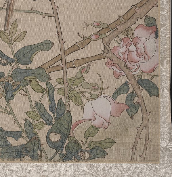 清代画.任颐_花鸟册页大都_4841.4981 清代画.任颐_花鸟册页大都_4841.4981