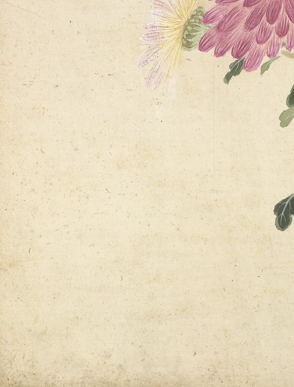 明代画.项圣漠_花卉_9_3792.4984