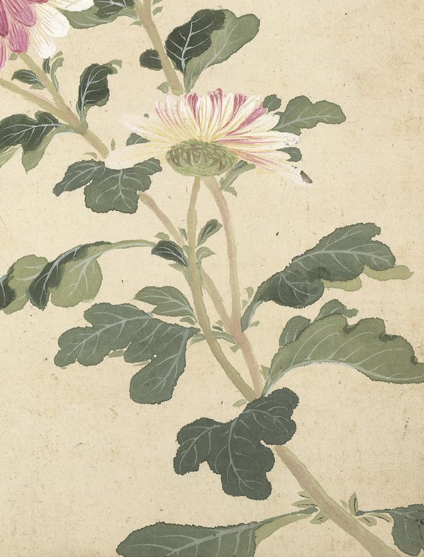 明代画.项圣漠_花卉_9_3792.4984
