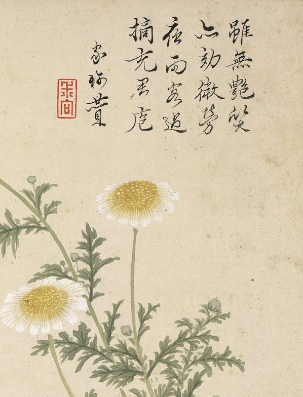 明代画.项圣漠_花卉_3_3792.4968 明代画.项圣漠_花卉_3_3792.4968