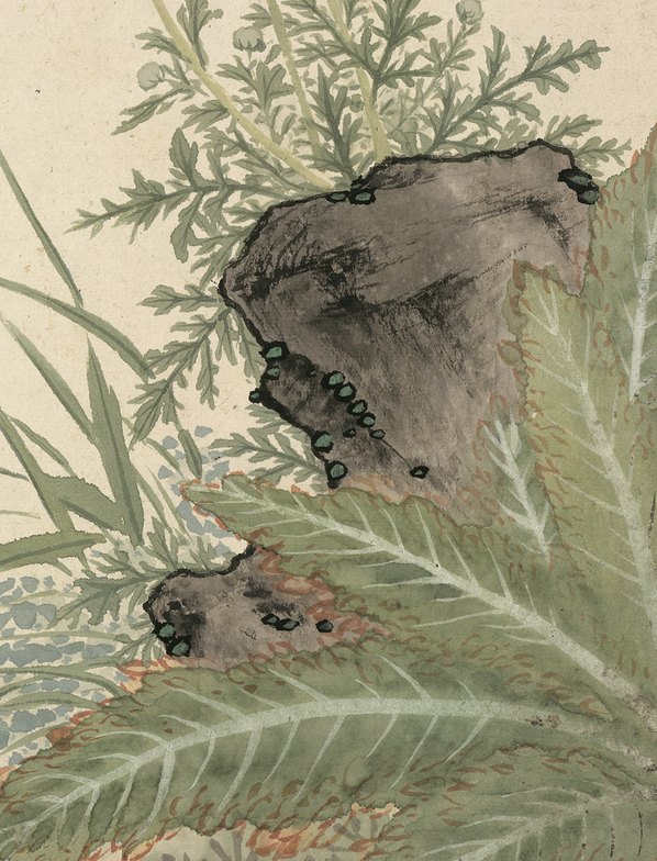 明代画.项圣漠_花卉_3_3792.4968 明代画.项圣漠_花卉_3_3792.4968