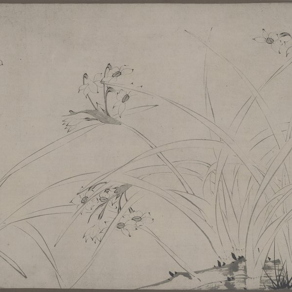 明代画.陆治_仿赵孟坚水仙图纸