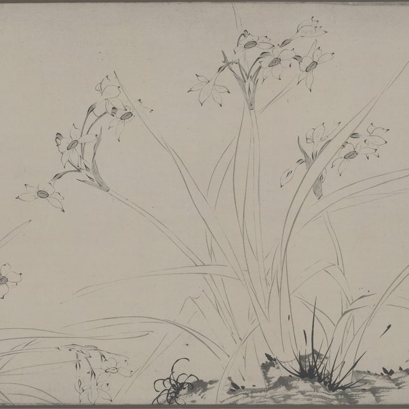 明代画.陆治_仿赵孟坚水仙图_图卷_1_38932.5155 明代画.陆治_仿赵孟坚水仙图_图卷_1_38932.5155