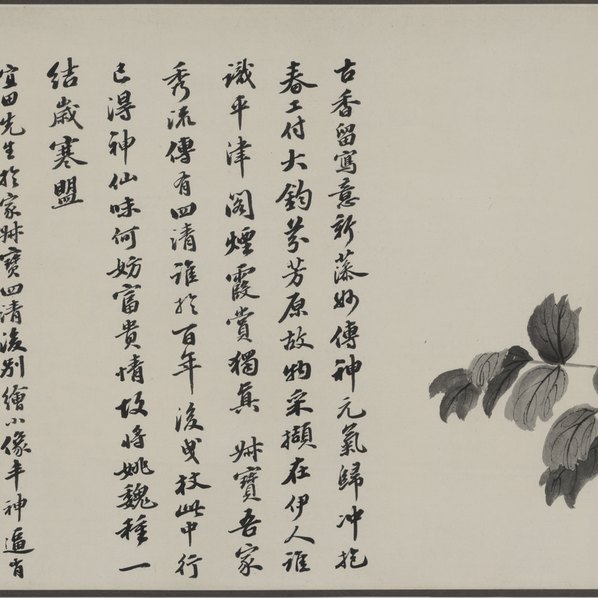 明代画.钱榖_梅花水仙图_段_2_27428.4736 明代画.钱榖_梅花水仙图_段_2_27428.4736