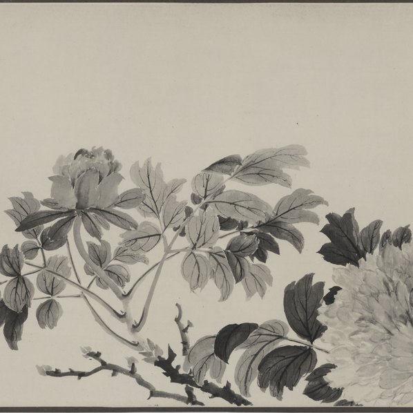 明代画.钱榖_梅花水仙图_段_2_27428.4736 明代画.钱榖_梅花水仙图_段_2_27428.4736