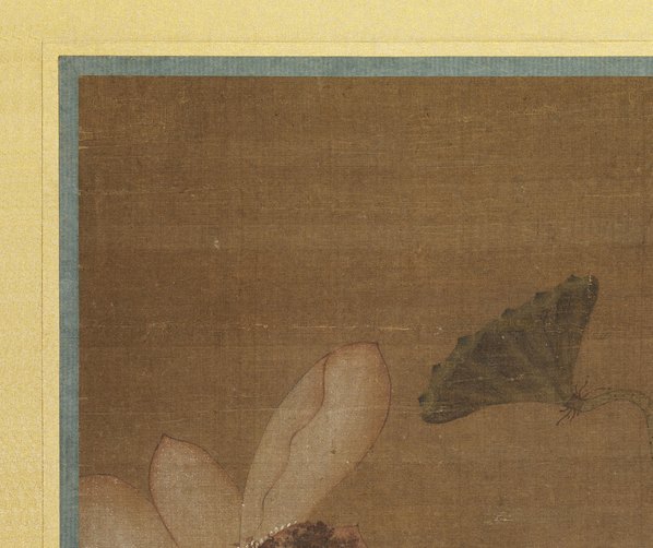明代画.王渊_莲鹡鸰图_7019.5889