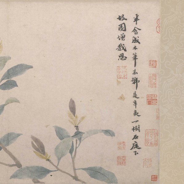 明代画.沈周_辛夷墨菜图卷纸本_北_16190.4134