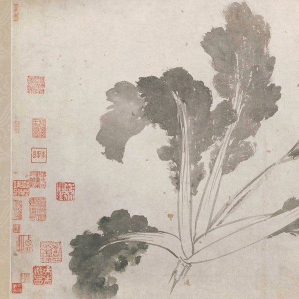 明代画.沈周_辛夷墨菜图卷纸本_北_16190.4134