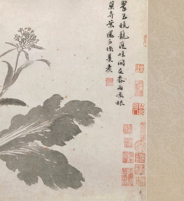明代画.沈周_辛夷墨菜图卷纸本_北_16190.4134