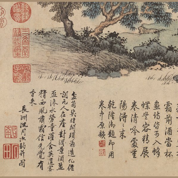 明代画.沈周_盆菊幽赏图卷_纸本_12129.3348