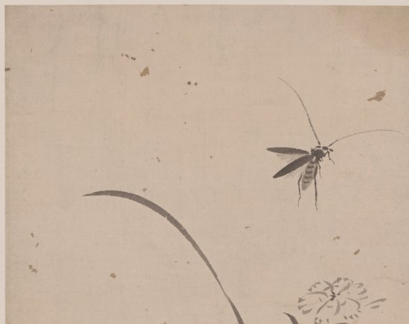 明代画.杜大成_花蝶草虫纸本_7_4986.3953 明代画.杜大成_花蝶草虫纸本_7_4986.3953