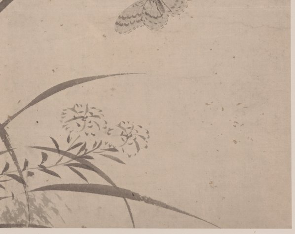 明代画.杜大成_花蝶草虫纸本_7_4986.3953 明代画.杜大成_花蝶草虫纸本_7_4986.3953