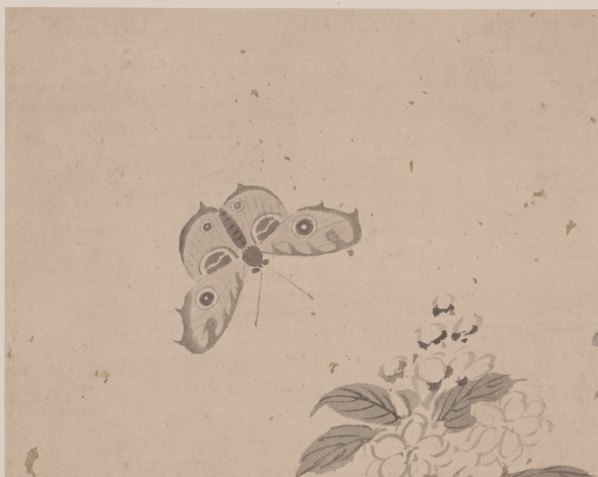 明代画.杜大成_花蝶草虫纸本_3_4980.3972 明代画.杜大成_花蝶草虫纸本_3_4980.3972