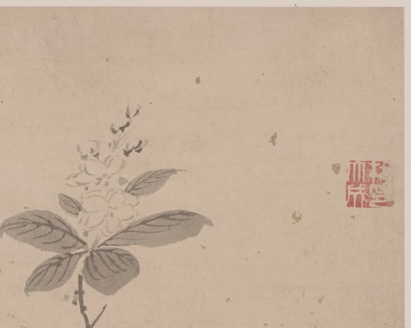 明代画.杜大成_花蝶草虫纸本_3_4980.3972 明代画.杜大成_花蝶草虫纸本_3_4980.3972