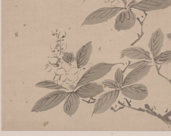 明代画.杜大成_花蝶草虫纸本_3_4980.3972 明代画.杜大成_花蝶草虫纸本_3_4980.3972