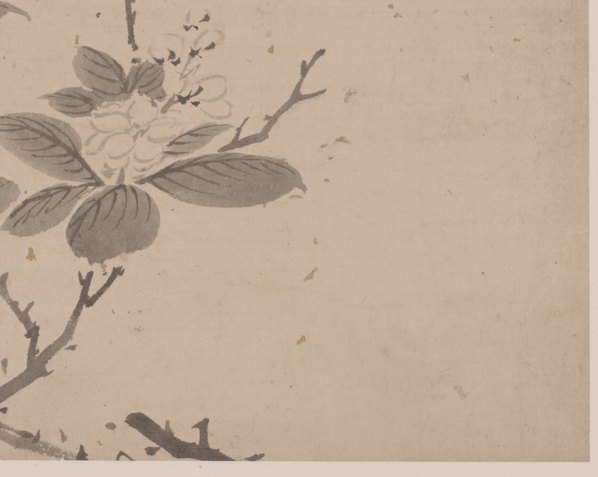 明代画.杜大成_花蝶草虫纸本_3_4980.3972 明代画.杜大成_花蝶草虫纸本_3_4980.3972