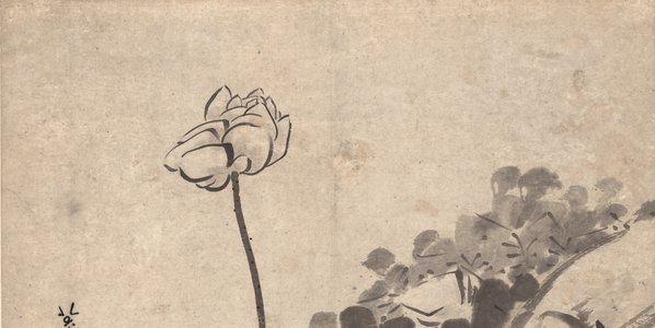 明代画.朱耷_墨荷图_纸_10839.21720