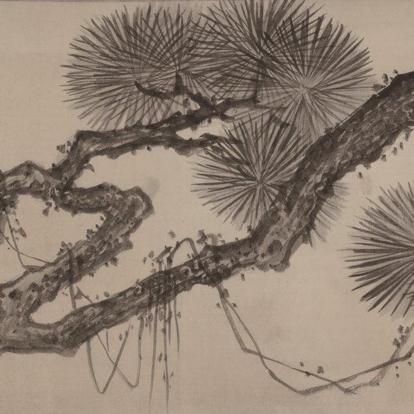 明代画.朱瞻基_万年松_全卷_纸本纸_78225.4677 明代画.朱瞻基_万年松_全卷_纸本纸_78225.4677