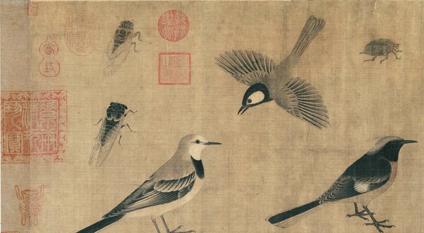 五代_黄筌_写生珍禽图绢本_10599.5843