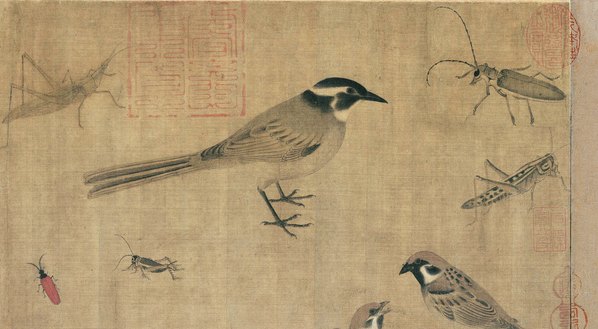 五代_黄筌_写生珍禽图绢本_10599.5843